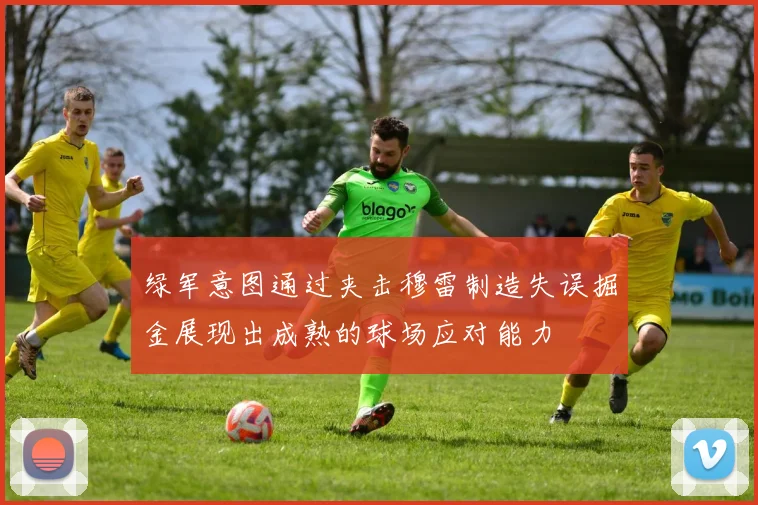 绿军意图通过夹击穆雷制造失误掘金展现出成熟的球场应对能力