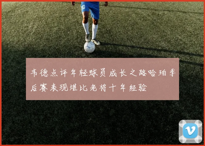 韦德点评年轻球员成长之路哈珀季后赛表现堪比老将十年经验