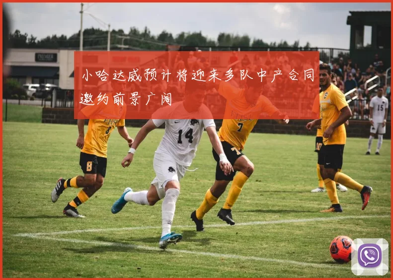 小哈达威预计将迎来多队中产合同邀约前景广阔