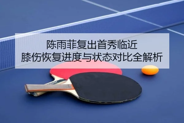 陈雨菲复出首秀临近 膝伤恢复进度与状态对比全解析